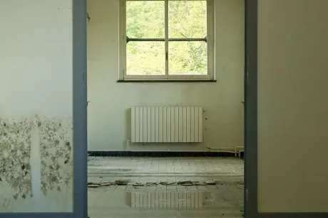 Сліди підтоплення на стіні